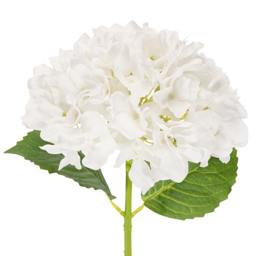 Tekohortensia pitkällä varrella koristeeksi, 48 cm