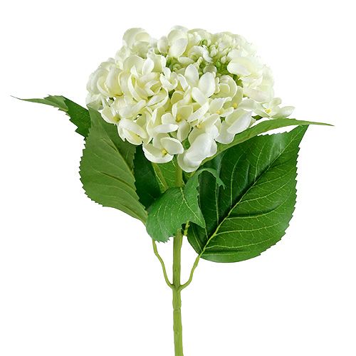 Floristik24 Hortensia 60cm valkoinen