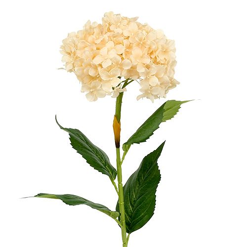 Hortensiavoide 80cm 1kpl