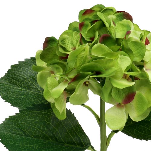 Floristik24 Hortensia vihreä keinotekoinen koristeluun L54cm