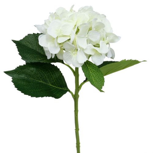 Floristik24 Hortensia valkoinen L54cm 1kpl