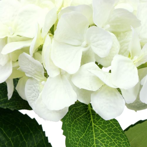 Floristik24 Hortensia valkoinen L54cm 1kpl