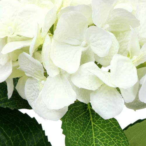 kohteita Hortensia valkoinen L54cm 1kpl