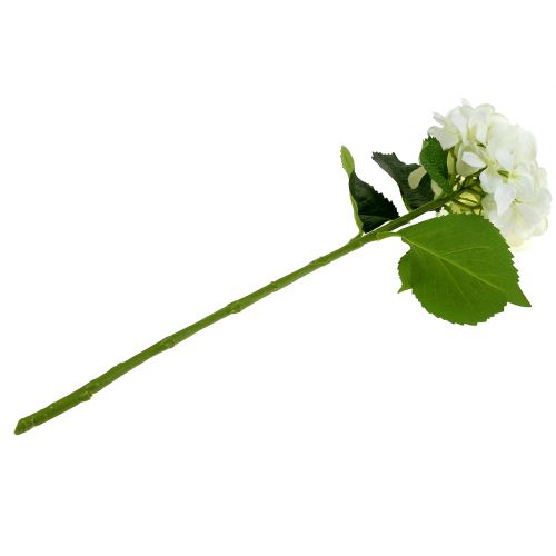 Floristik24 Hortensia valkoinen L54cm 1kpl