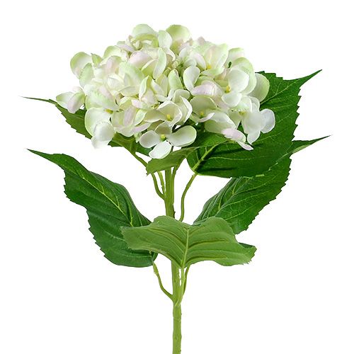 Hortensia valko-vihreä 60cm | Floristik24.fi