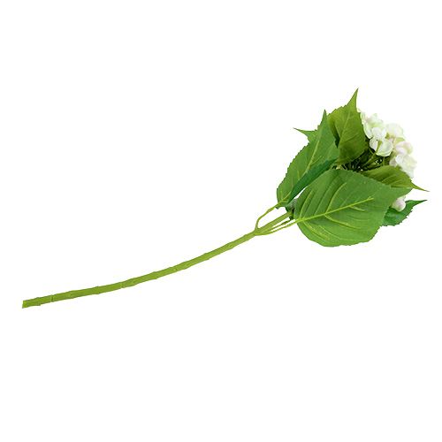 Hortensia valko-vihreä 60cm | Floristik24.fi
