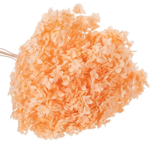 kohteita Hortensia-kuivakukkakimppu eleganttiin kukkakoristeeseen kotona, 65 cm