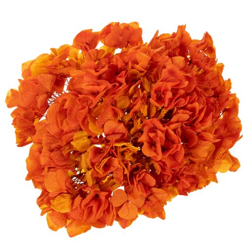 Hortensia, säilötty ja värjätty, suuri kukinto pitkällä varrella, 60 cm | Floristik24.fi