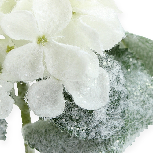 kohteita Hortensia valkoinen lumiefektillä 25cm