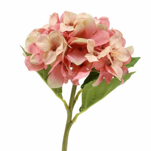 Floristik24 Hortensia beige/ pinkki 35cm
