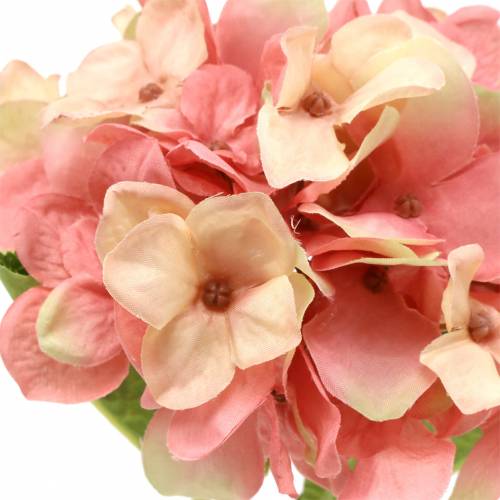 Floristik24 Hortensia beige/ pinkki 35cm