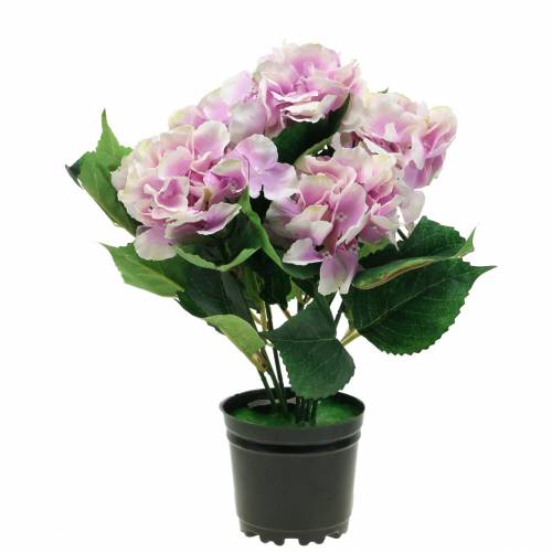 Floristik24 Silkkikukkia hydrangea ruukussa lila 35cm