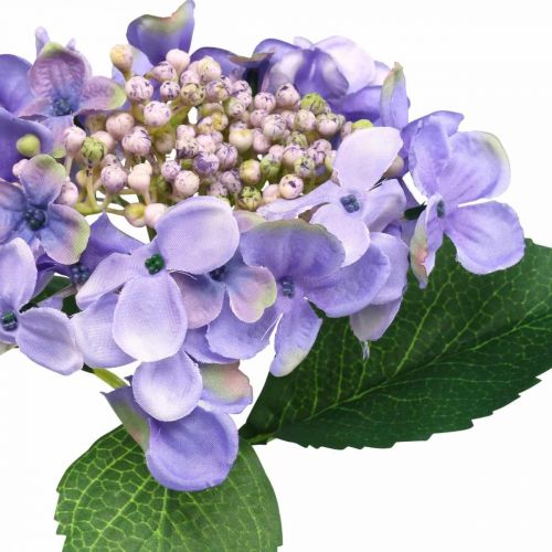 Floristik24 Koristeellinen hortensia, silkkikukka, tekokasvi violetti L44cm