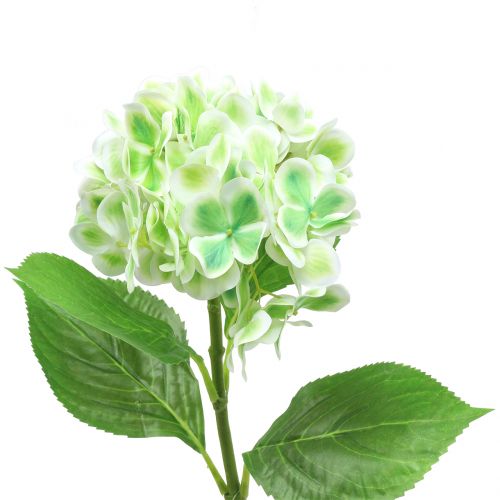 Floristik24 Hortensia keinotekoinen vihreä, valkoinen 68cm