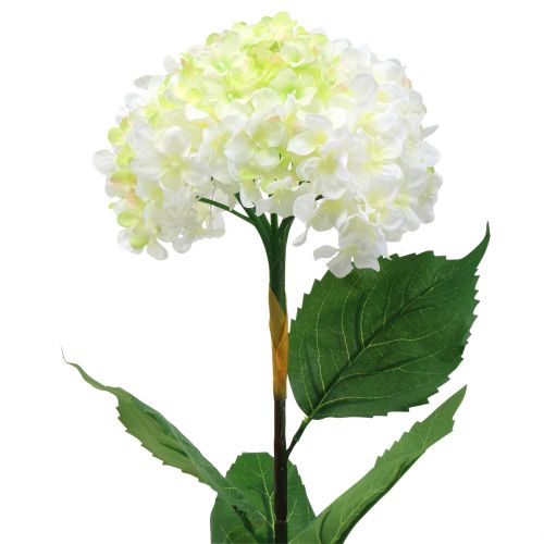 Hortensia valkoinen keinotekoinen 80cm