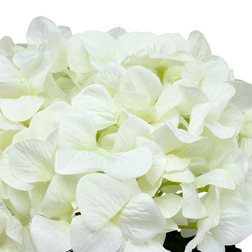 kohteita Hydrangea Maxi White Ø30cm L113cm