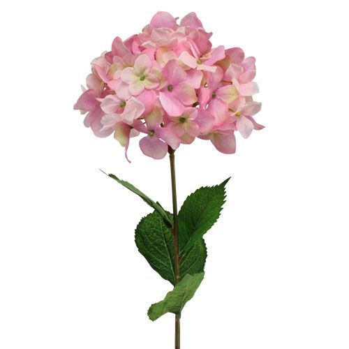 Floristik24 Hortensia vaaleanpunainen 68cm