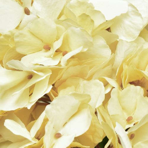 kohteita Hortensia kimppu tekokukat keltainen 5 kukkaa 48cm