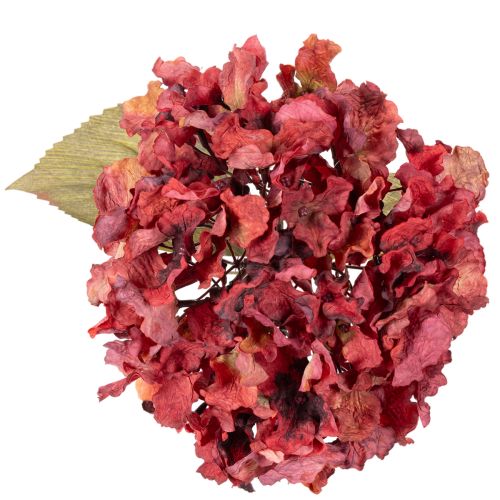 Keinotekoinen hortensian kukintaoksa, suuri kukinta, 74 cm | Floristik24.fi