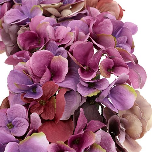 Floristik24 Hortensian seppele Ø35cm violetti, lilla