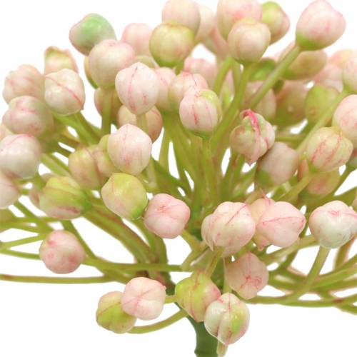 kohteita Hortensian silmupoimi 21cm pinkki 12 kpl