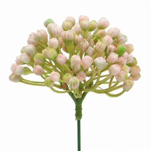 kohteita Hortensia-nuppu 21cm pinkki 12kpl