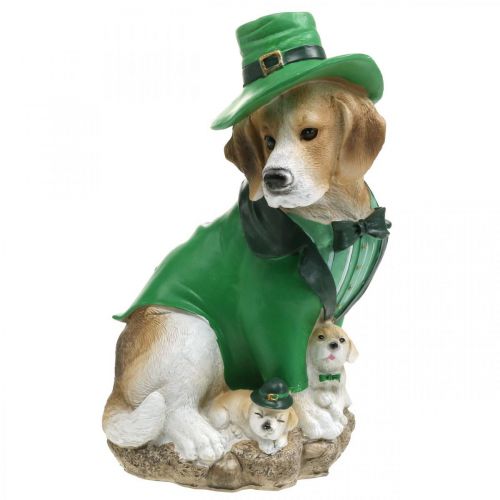Floristik24 Beagle hattussa St. Patrick&#39;s Day -koira puvussa Garden Decor -koira H24,5cm