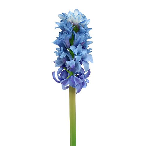 Floristik24 Hyasintti keinotekoinen sininen, valkoinen 31cm 3kpl
