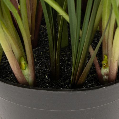 kohteita Keinotekoinen hyasintti ruukussa, täydellinen koriste kotiin ja toimistoon, 26 cm