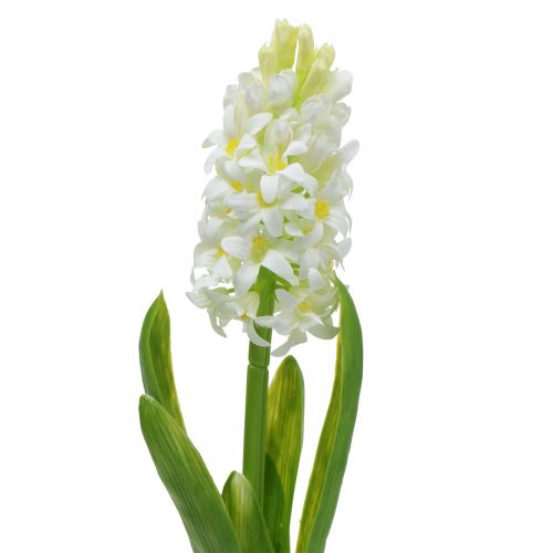 Floristik24 Hyasintti Real-Touch valkoinen 40cm