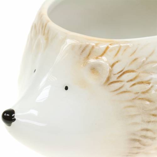 Floristik24 Kukkaruukku siili keraaminen kerma 14cm x 11cm K9cm 4kpl