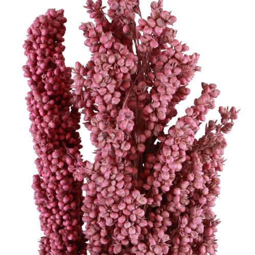Floristik24 Indian Corn Kuivatut kukat Indian Corn Pink 75cm 3 kpl