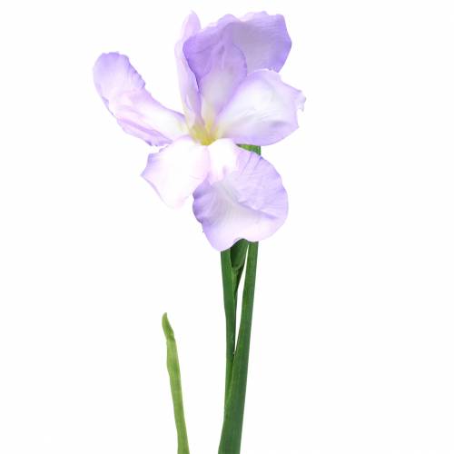 Floristik24 Iris keinotekoinen violetti 78cm