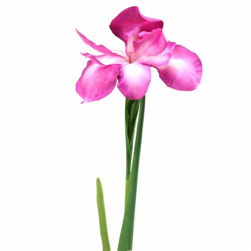 Floristik24 Iris keinotekoinen vaaleanpunainen 78cm