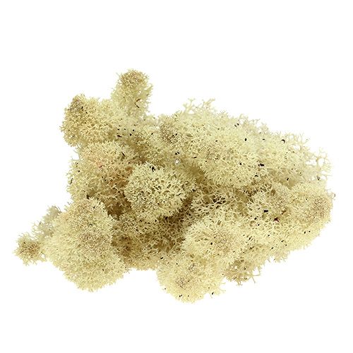 Poro sammalluonto 400g
