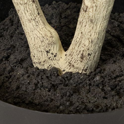 Tekokasvi ruukussa, 130 cm korkea, vihreä, koristeellinen | Floristik24.fi