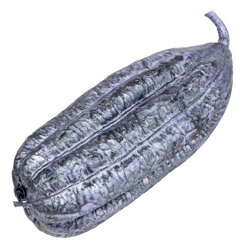 Floristik24 Luffa Fruit Violet 14cm – 20cm 10 kpl