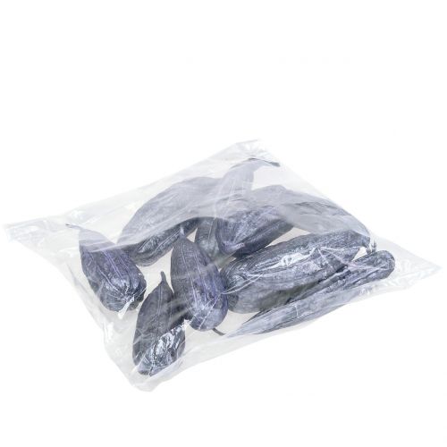 Floristik24 Luffa Fruit Violet 14cm – 20cm 10 kpl