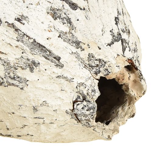 kohteita Kaakaopalot valkoiseksi kalkittu 15 kpl