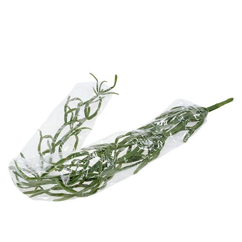 Floristik24 Kaktushenkari 115cm vihreä