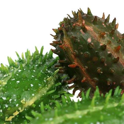 Floristik24 Viikuna päärynä 5cm vihreä-ruskea 6kpl