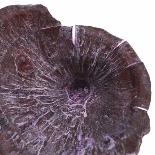 kohteita Kalix Mushroom Purple, White Pesty 100 kpl
