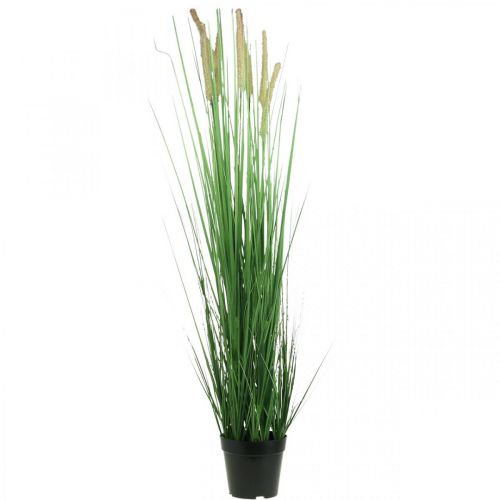 Floristik24 Keinotekoinen sara ruukussa piikkeillä Carex tekokasvi 98cm