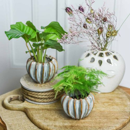 Floristik24 Keraaminen ruukku, taitava istutuskone, istutuskone turkoosi, beige, ruskea Ø11,5cm K9cm 2kpl