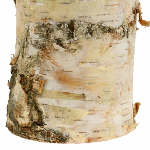 Floristik24 Kynttilänpidin Koivu Ø8cm K14cm