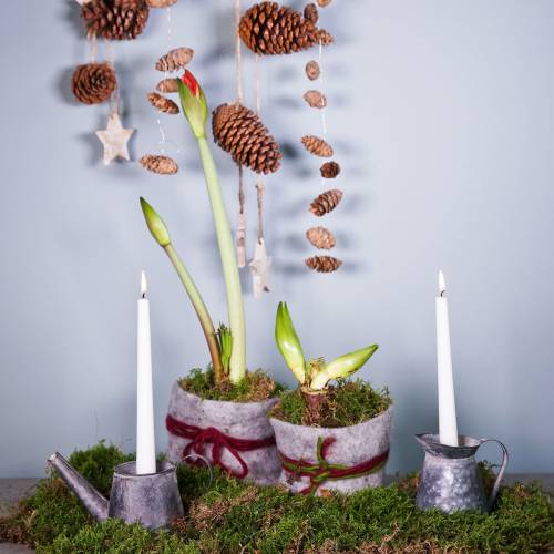 Floristik24 Kynttilänjalka kannu antiikki look H12/9cm 2kpl