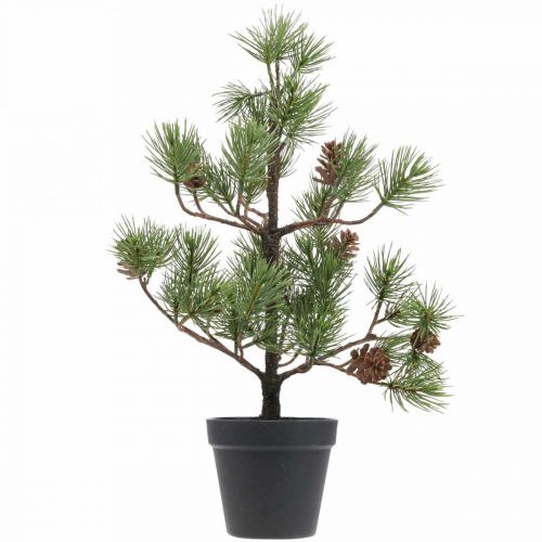 Floristik24 Keinomänty ruukussa joulukuusi käpyillä 52cm