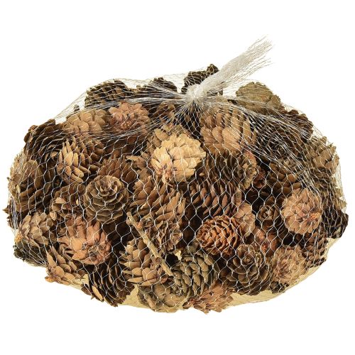 Männynkäpyjä, luonnonvärisiä pieniä käpykoristeita verkossa, 2,5-3,5 cm, 300 g | Floristik24.fi