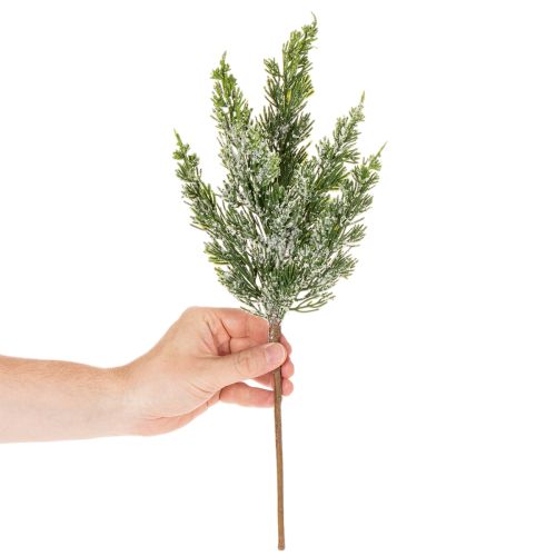 Keinotekoisesti lumen peittämä männynoksa kukka-asetelmiin ja adventtikoristeisiin, 40 cm, 3 kpl | Floristik24.fi