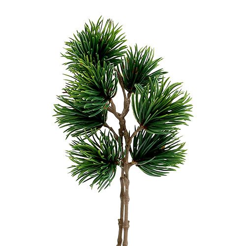 Männynoksa tekovihreä K30cm 6kpl